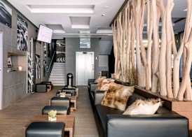 HOTEL PECR WELL 2
