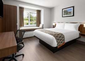 Microtel Inn by Wyndham - Albany Airport 5
