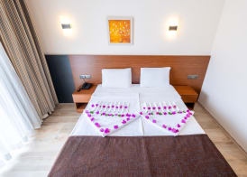 Viking Express Otel 3