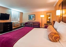 Best Western Plus Airport Plaza 5