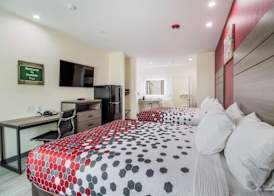 Regency Inn & Suites Humble FM1960 - IAH Airport 2