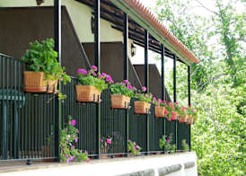 Hotel Apartamento Rural Finca La Media Legua 5