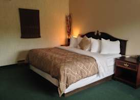Bancroft Inn & Suites 5