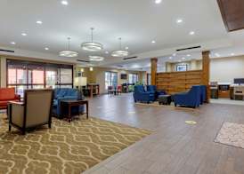 Comfort Suites Piedmont - Greenville South 4