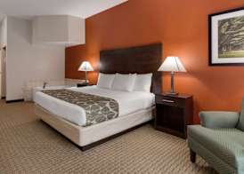 Best Western Executive Inn 5