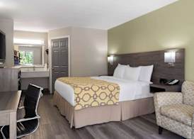 Baymont by Wyndham Kingsland 4