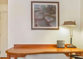 La Quinta by Wyndham Tampa Brandon West 3