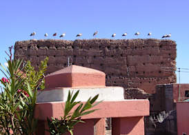 Riad el Farah Kasbah 4