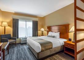 Best Western PLUS University Park Inn & Suites 5