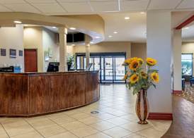 Comfort Suites Airport South 2