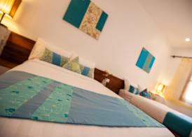 House Boutique Eco Hotel 5