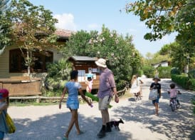Comfortable Campsite-chalet G12 Tuscany Near sea 5
