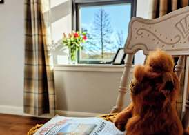 Ben Cruachan Inn - Restaurant, Pub with Rooms 3