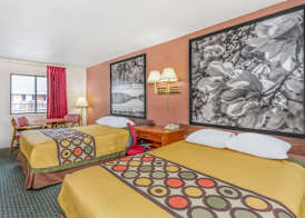 Super 8 by Wyndham Santee/I-95 5