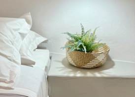 Cave Crafted Suites 3