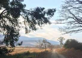 Rockwood Karkloof Forest Lodge & Mountain Cabin 2