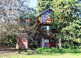 Sycamore Avenue Treehouses & Cottages Accommodation 5