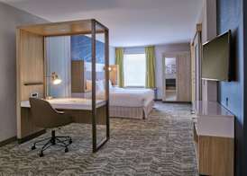 SpringHill Suites by Marriott Detroit Dearborn 4