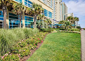 Hilton Garden Inn Virginia Beach Oceanfront 3