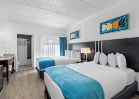 OASIS BAY SUITES, Tampa, Busch Gardens, USF 3