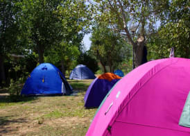 Camping Campo al Fico 3