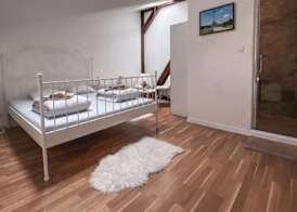 Blue Lotus Hotel & Hostel 4