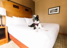 Grand Hyatt Seattle 3