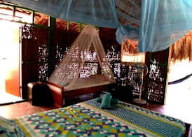 Eco Hotel Las Palmeras 5