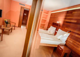 Park Holiday Congress & Wellness Hotel 4