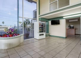 Rodeway Inn Clearwater-Largo 3