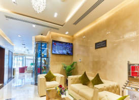 Rose Plaza Hotel Al Barsha 3