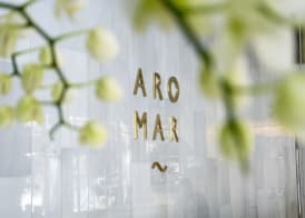 Hotel Aromar 3
