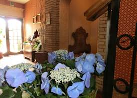 Hotel Girasole 3
