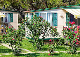 Arena Stupice Campsite 2