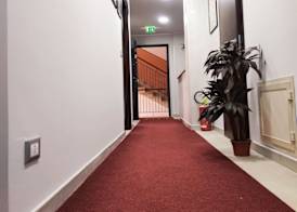Guest House Elettra 3