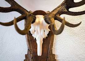 Naturparkhotel Adler 5