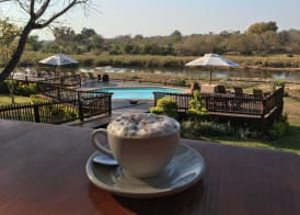 Sabie River Bush Lodge 2