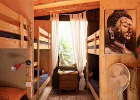 Los Amigos Nest Hostel 4