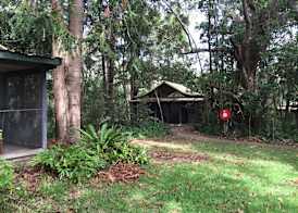 Byron Bay Rainforest Resort 2