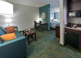 SpringHill Suites by Marriott Greensboro 5