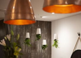 Wyndham Garden Hotel Remarkables Park Queenstown 4