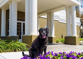 Homewood Suites by Hilton Erie 2