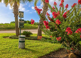 Hampton Inn & Suites Brenham 3