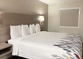 Red Roof Inn & Suites Swansea 4