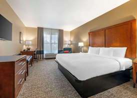 Comfort Inn & Suites Tavares North 5