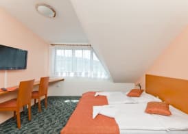 Hotel Slavia 5