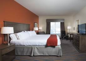 Holiday Inn Express & Suites MORGAN CITY - TIGER ISLAND by IHG 3