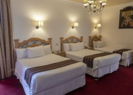 Hotel Rojas Inn 5