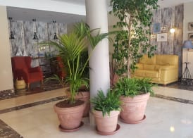 Hotel Arcea Villaviciosa 3