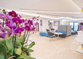 Studio One Accommodation Suites 2